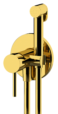 Гигиенический душ со смесителем Remer X Style, золото глянцевое