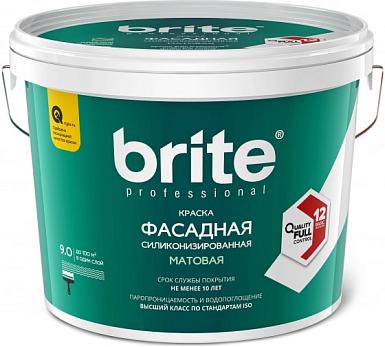 Краска фасадная силиконизированная Brite Professional 2,7 л